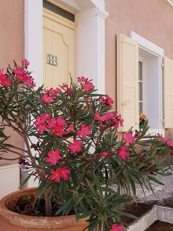 Provencal House In Fayence With Pool & Indoor Spa Ngoại thất bức ảnh